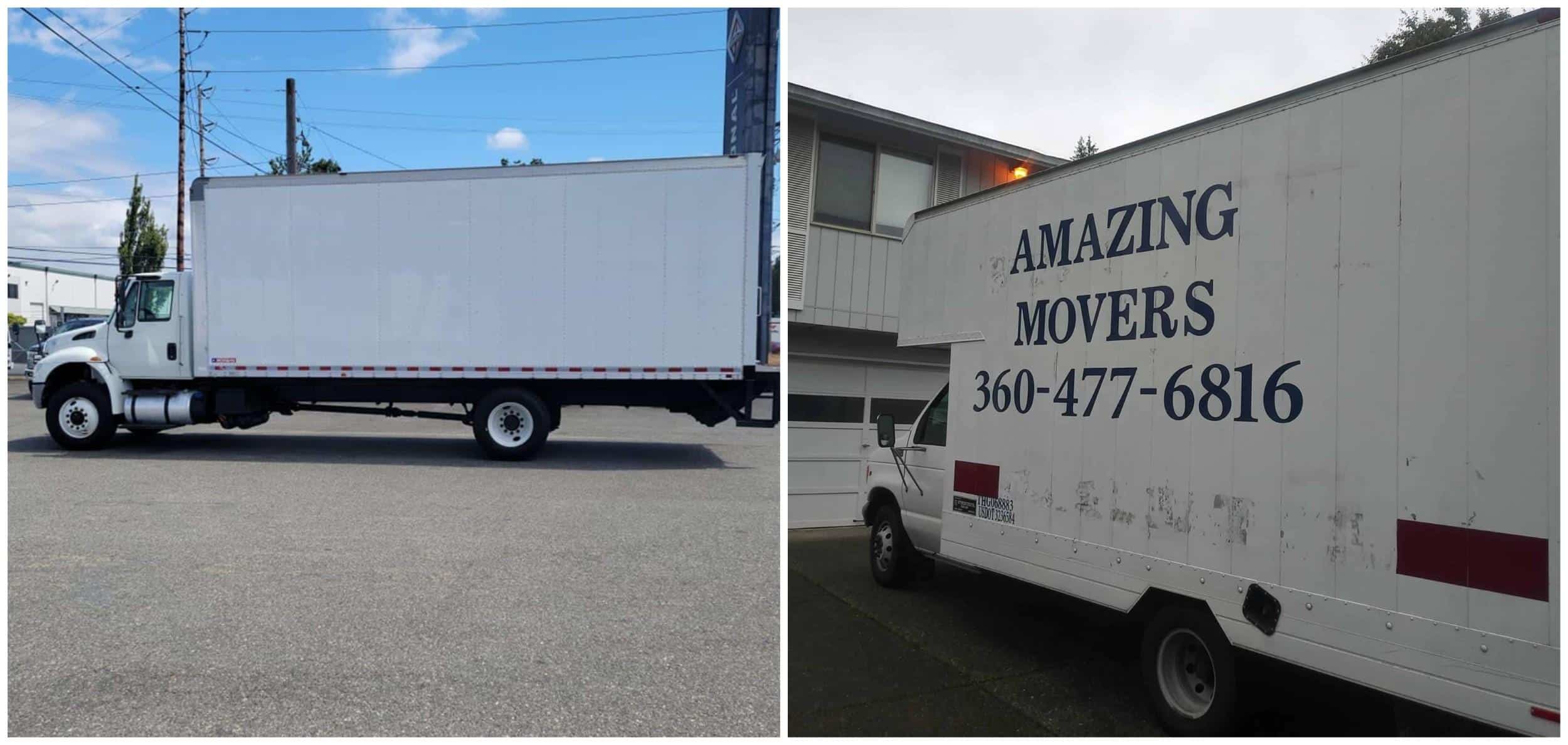 Stress-Free Couch Moving in WA Affordable and Efficient Maple Valley Couch Moving Services